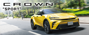CROWN SPORTS
